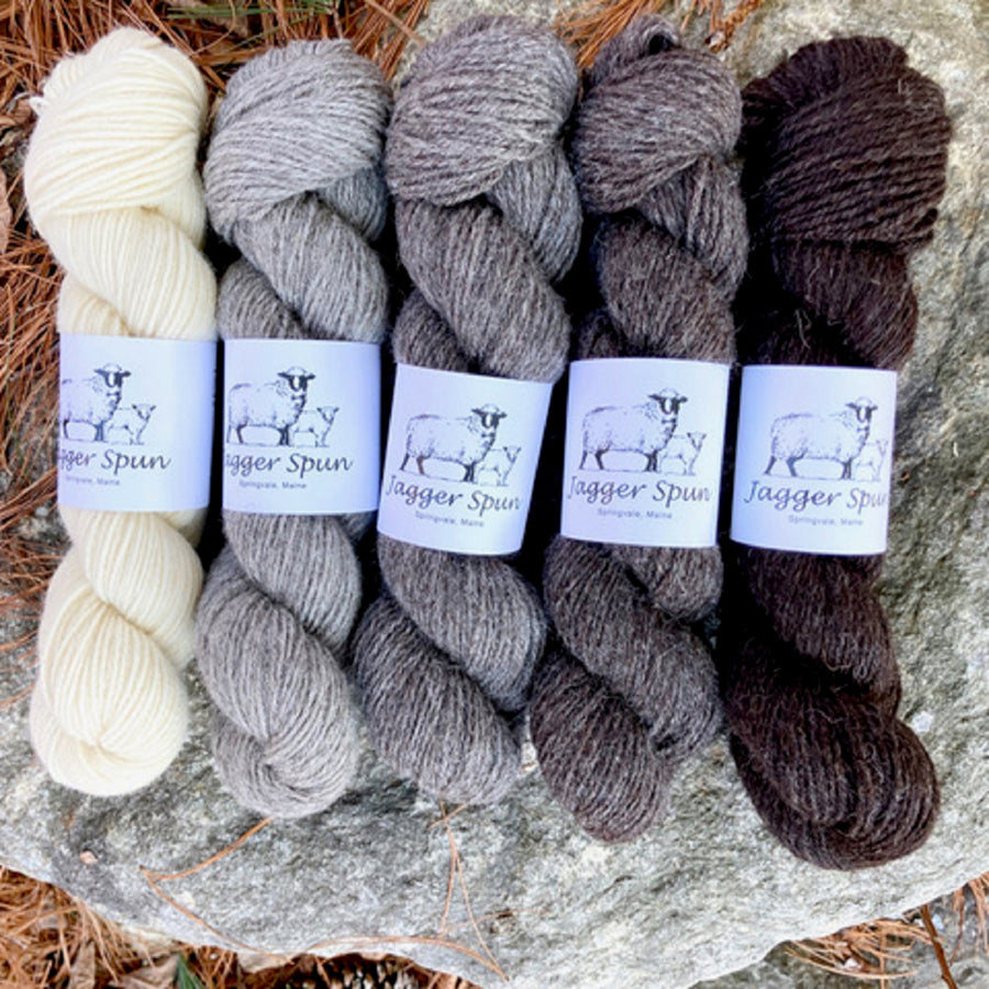 Black Welsh and Dorset Horn Blend-Multi-Pack of 5 skeins