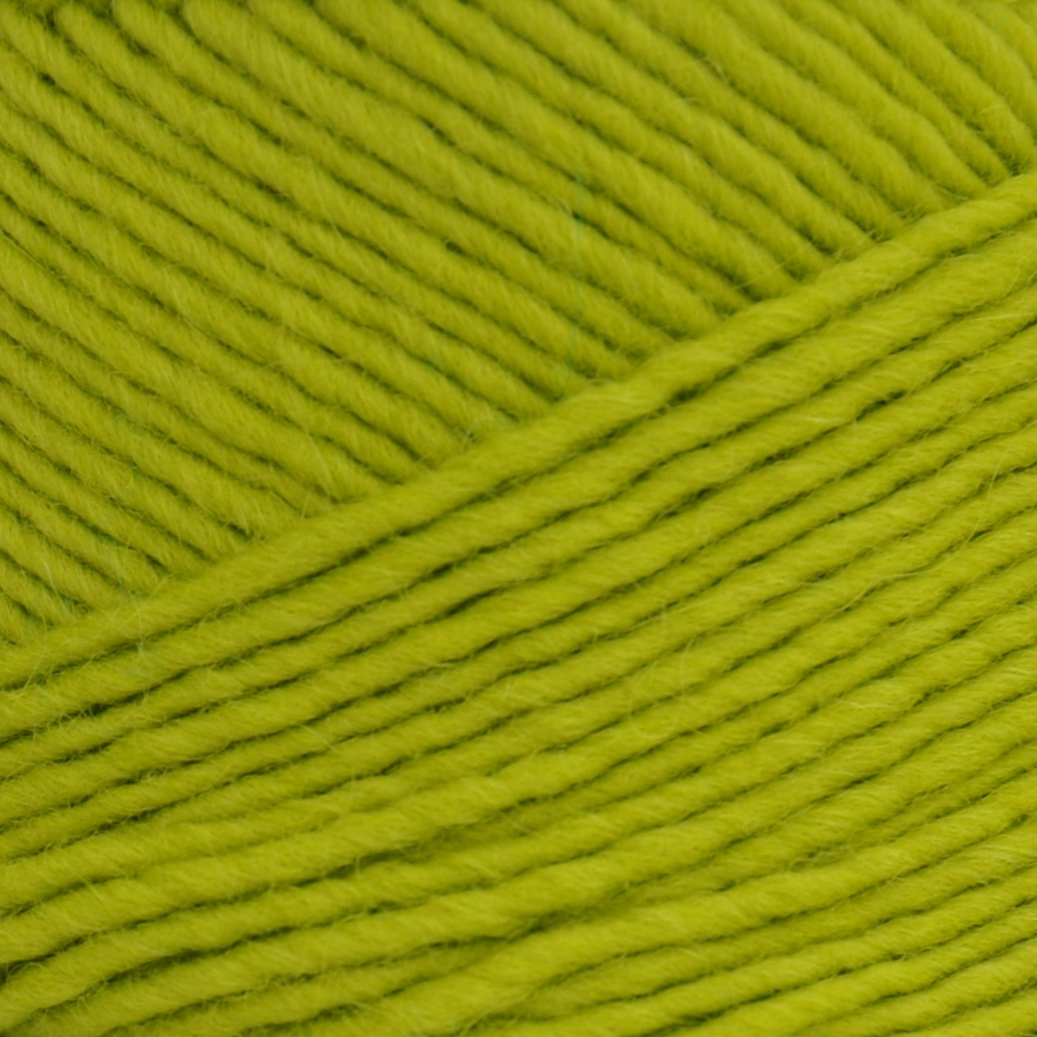 Brown Sheep Lamb’s Pride Bulky yarn skein, Bamboo Shoots chartreuse colorway close-up