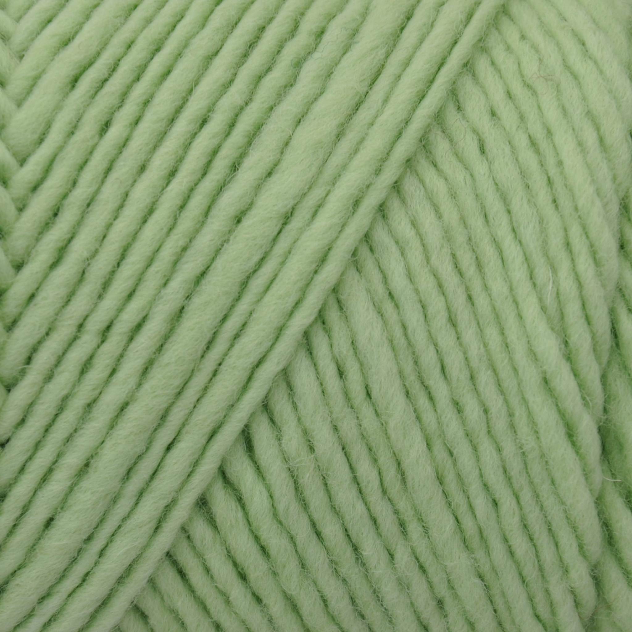 Brown Sheep Lamb’s Pride Worsted wool-mohair yarn close-up, Lily Pad fresh light green — available at Revolution Fibers