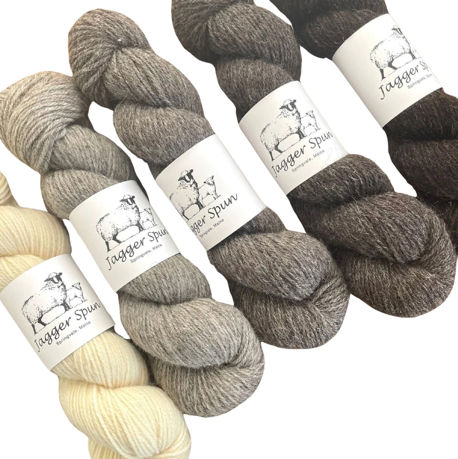 Black Welsh and Dorset Horn Blend-Multi-Pack of 5 skeins