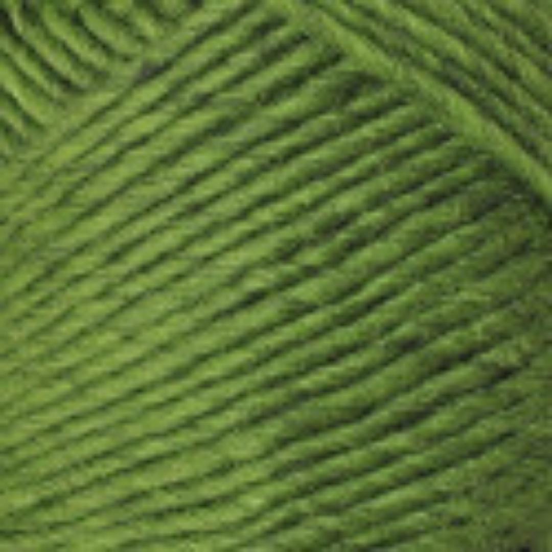 Lamb's Pride Worsted Weight Yarn | 190 Yards | 85% Wool 15% Mohair Blend-Yarn-Brown Sheep Yarn-Kiwi - M191-Revolution Fibers