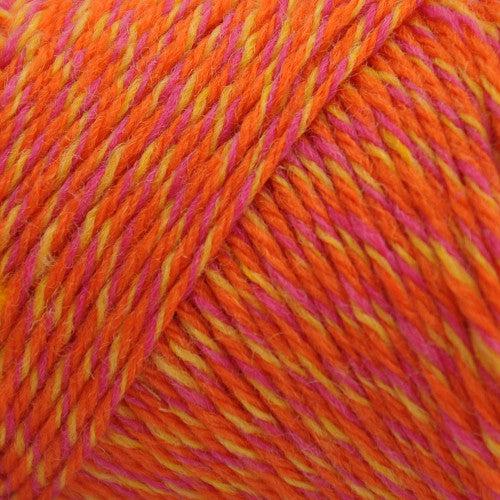 Wildfoote Luxury Sock Weight Superwash Yarn | 50 grams, 215 yards per skein-Yarn-Brown Sheep Yarn-Circus-Revolution Fibers