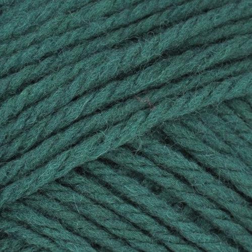 Nature Spun Worsted Weight Yarn | 245 Yards | 100% Wool-Yarn-Brown Sheep Yarn-Enchanted Forest - 2N25PN-Revolution Fibers