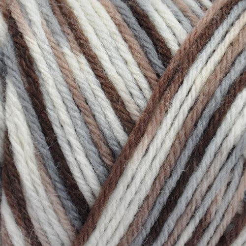 Wildfoote Luxury Sock Weight Superwash Yarn | 50 grams, 215 yards per skein-Yarn-Brown Sheep Yarn-Soft Jazz (Handpainted)-Revolution Fibers