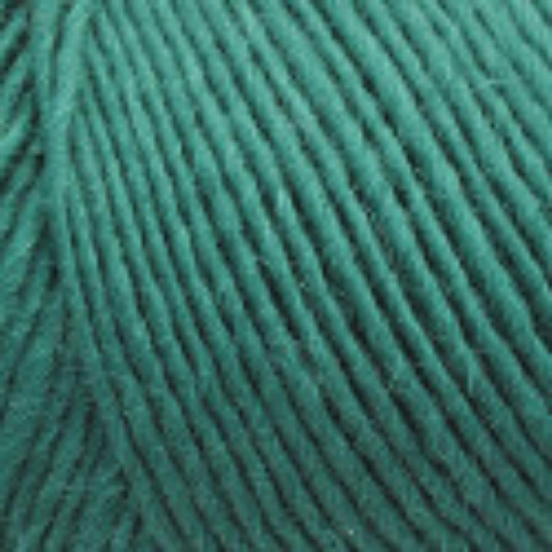 Lamb's Pride Worsted Weight Yarn | 190 Yards | 85% Wool 15% Mohair Blend-Yarn-Brown Sheep Yarn-Christmas Green - M165-Revolution Fibers