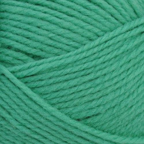 Nature Spun Worsted Weight Yarn | 245 Yards | 100% Wool-Yarn-Brown Sheep Yarn-Jadeite - 2508PN-Revolution Fibers