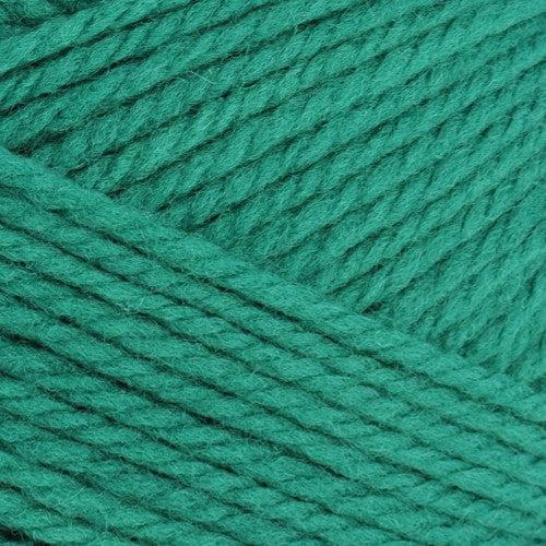 Nature Spun Worsted Weight Yarn | 245 Yards | 100% Wool-Yarn-Brown Sheep Yarn-Evergreen - 2N24PN-Revolution Fibers