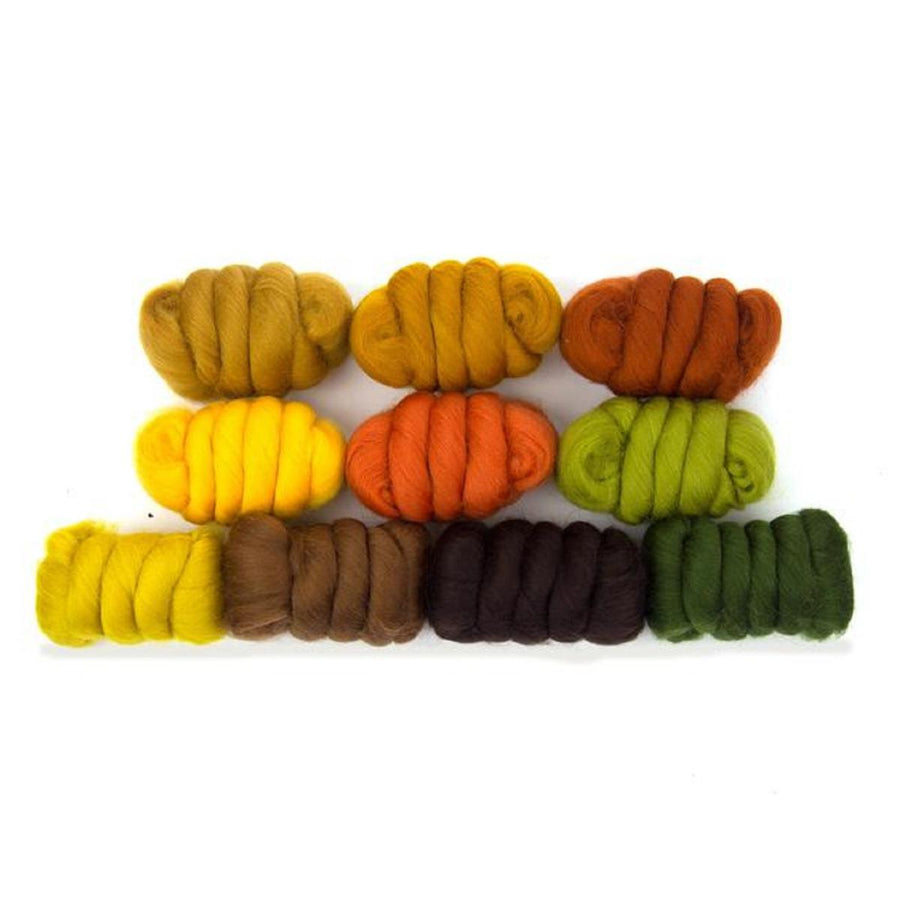 Mixed Merino Wool Variety Pack | Autumn Leaves (Multicolored) 250 Grams, 23 Micron-Wool Roving-Revolution Fibers-Revolution Fibers