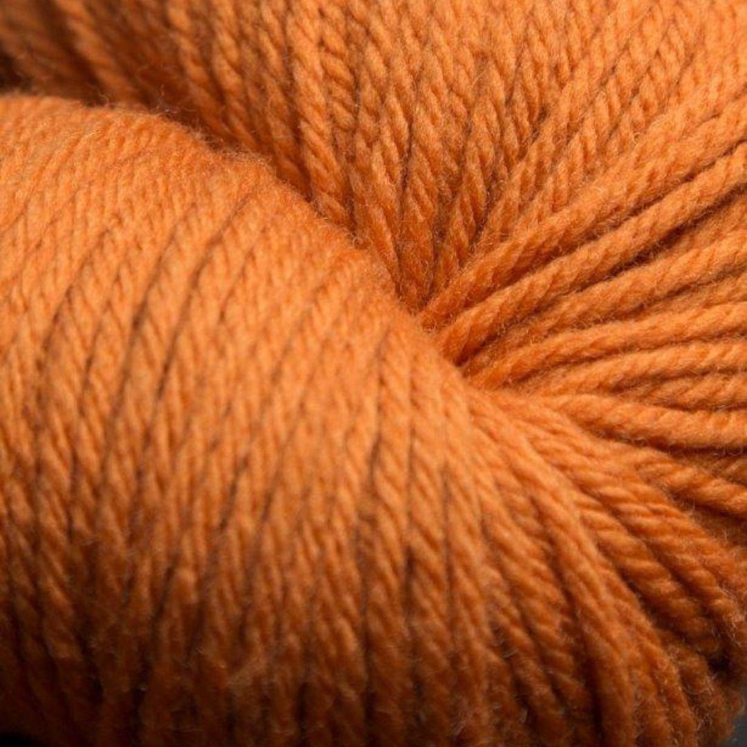 Jagger Spun Super Lamb Worsted 1lb Cone - Pumpkin