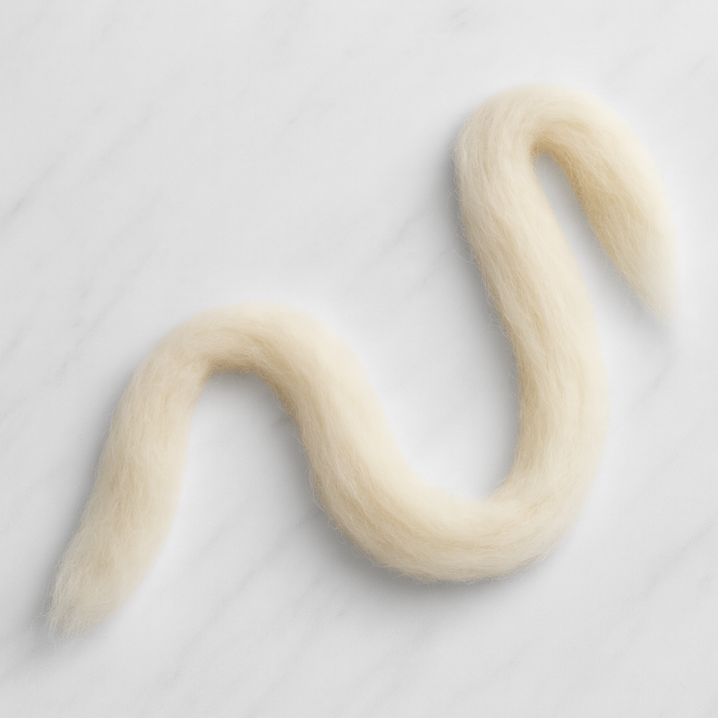 S-shaped length of Corriedale roving showing staple length and uniform preparation—natural cream, beginner-friendly drafting.