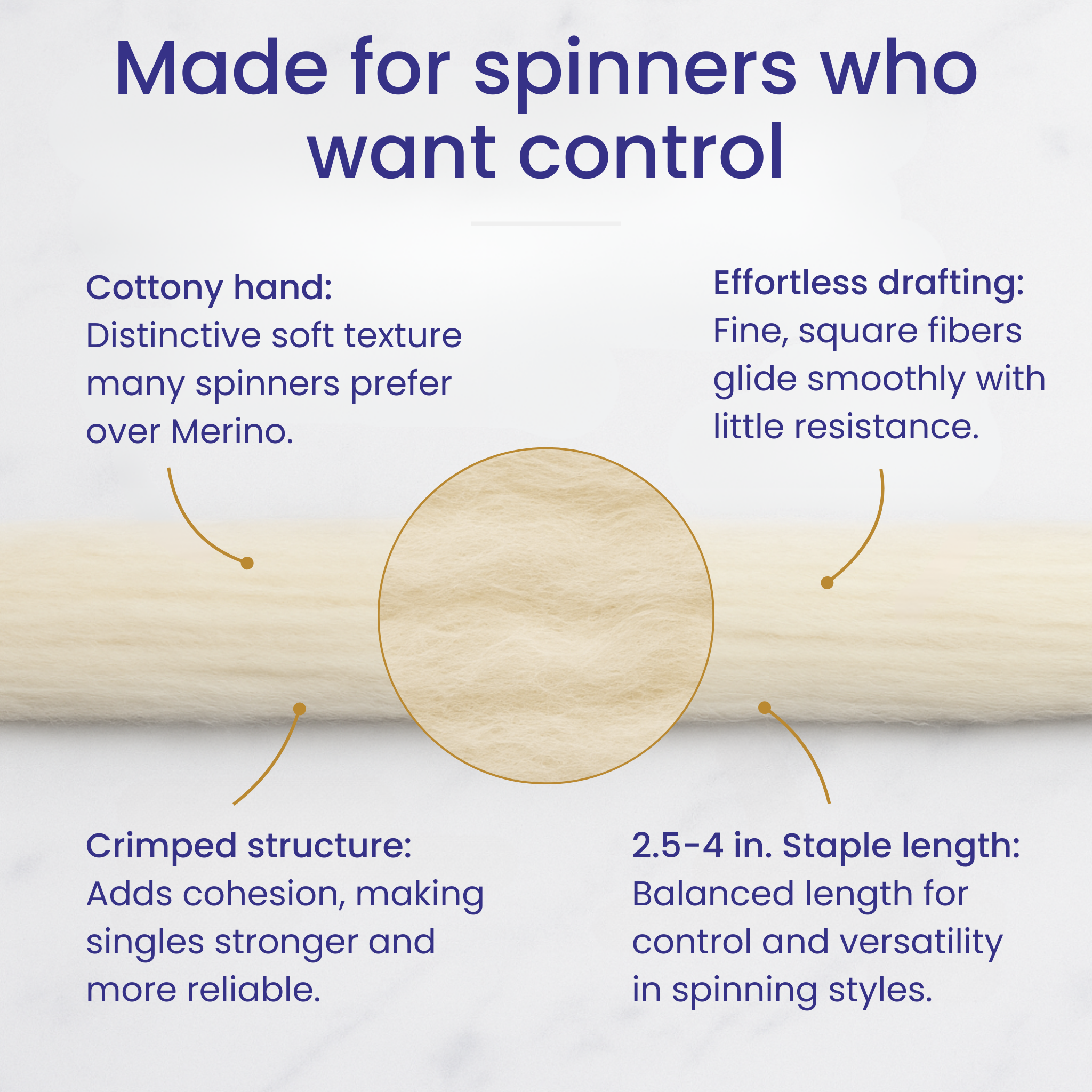 Rambouillet spinning fiber infographic showing consistent staple length and fine crimp for smooth drafting and versatile yarns.