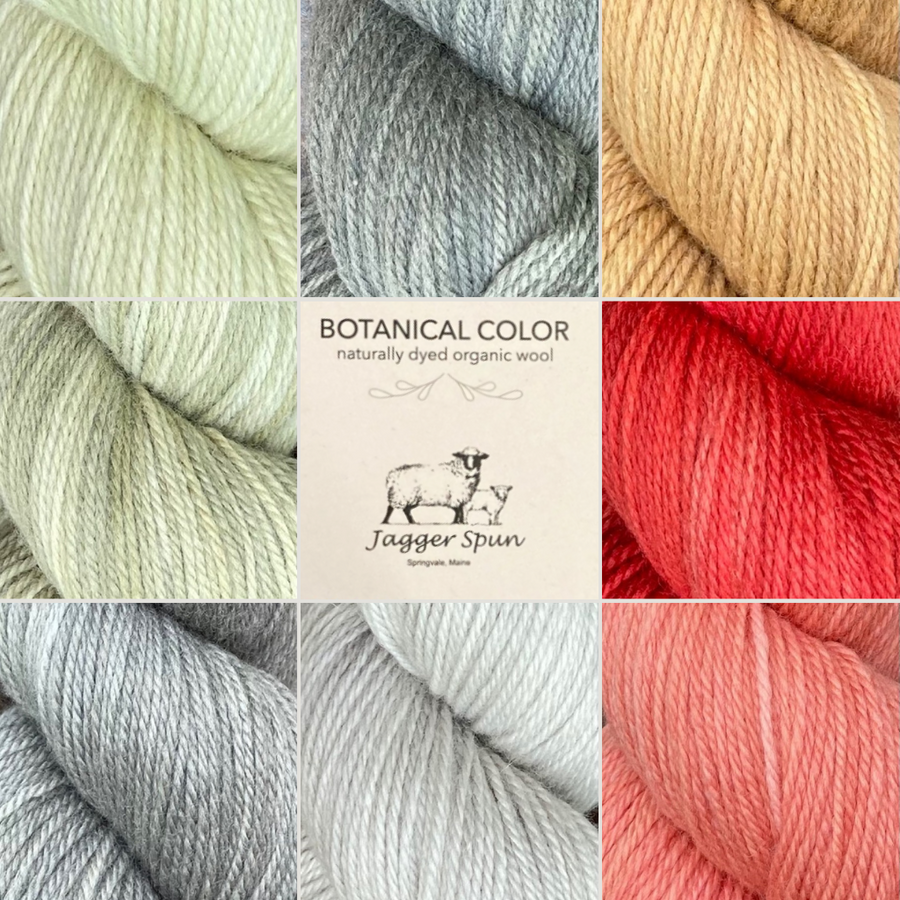 Jagger Color Sport & DK Weight Yarn | Revolution Fibers | Revolution Fibers