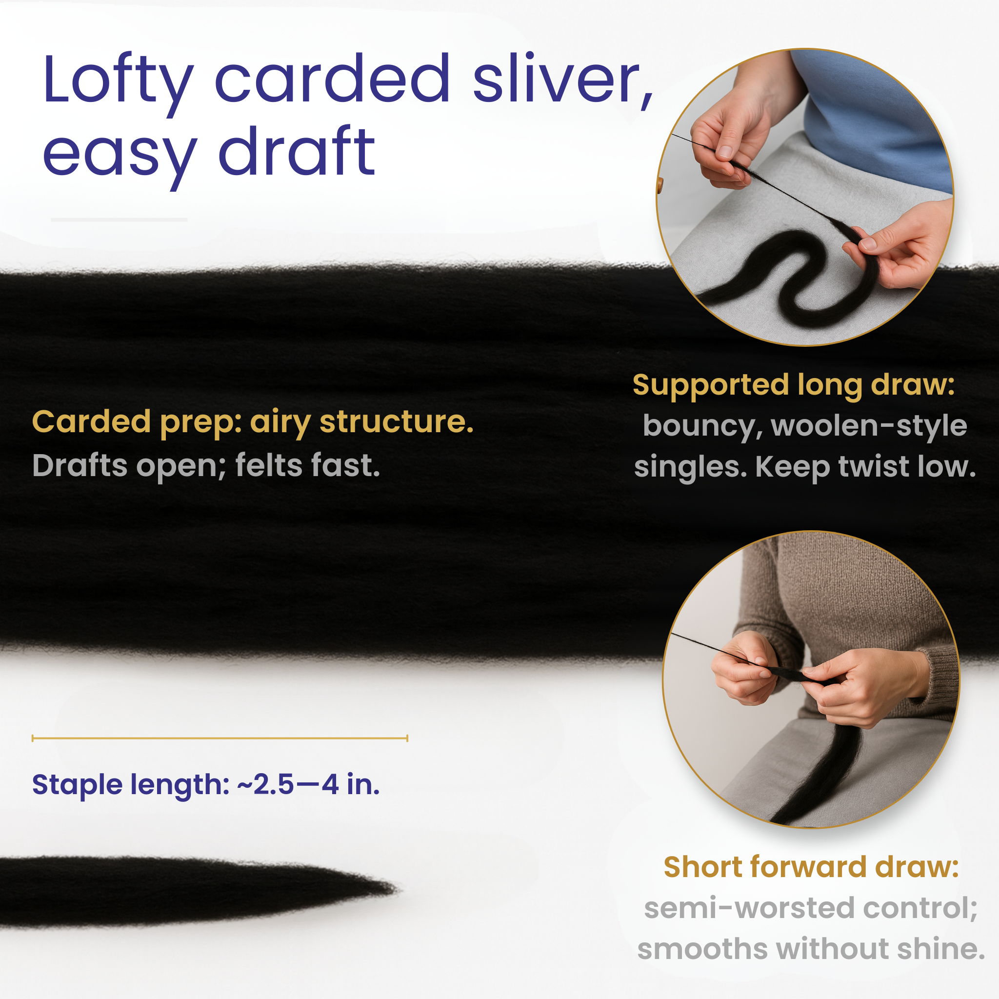 Black 19-micron Merino carded sliver infographic showing airy carded structure, supported long draw for bouncy singles, short forward draw for smooth control, and staple length ~2.5–4 inches.