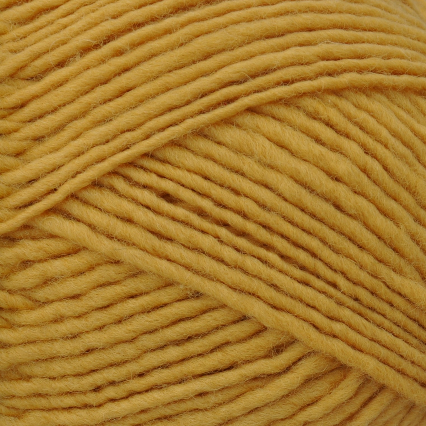 Brown Sheep Lanaloft Worsted 1 lb wool yarn cone, Golden Meadowlark mustard yellow, 720 yds — at Revolution Fibers