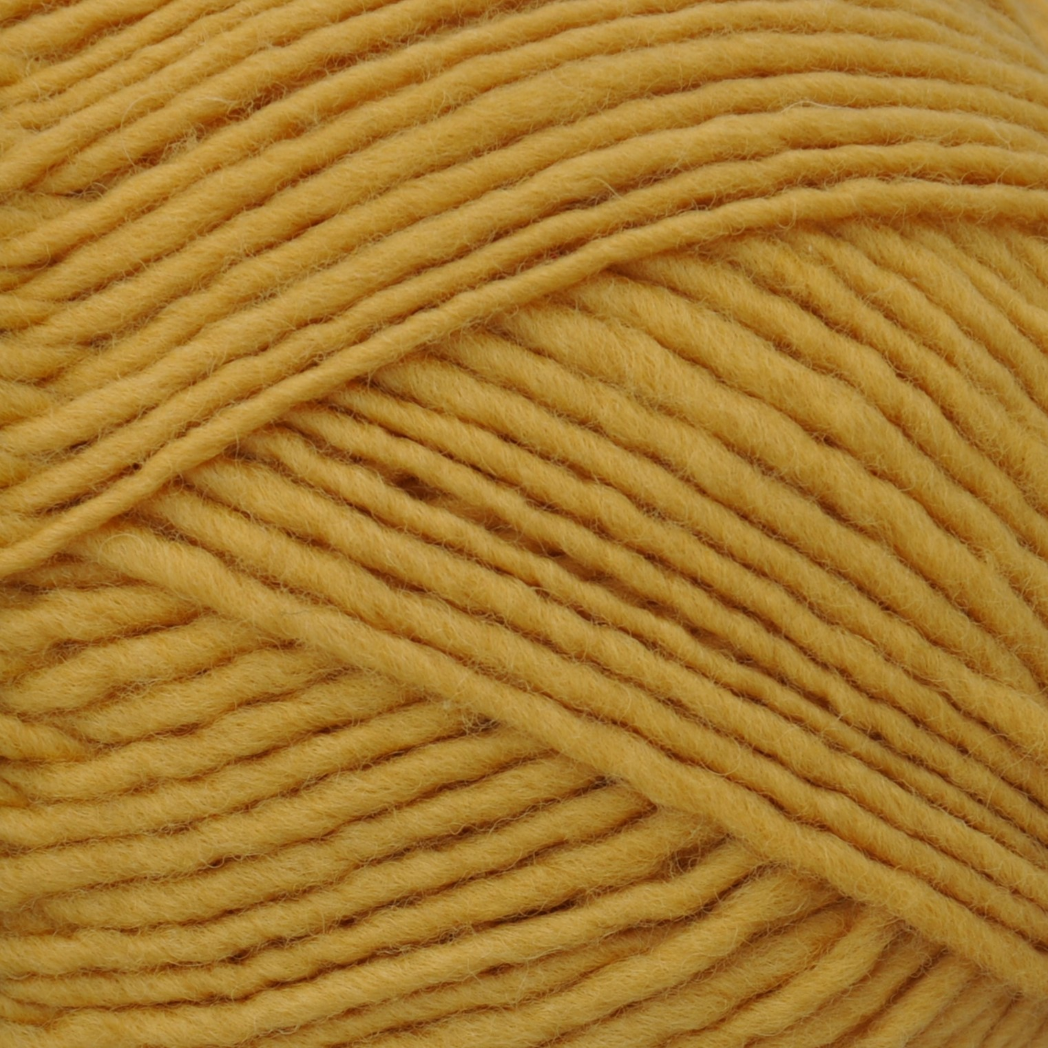 Brown Sheep Lanaloft Worsted 1 lb wool yarn cone, Golden Meadowlark mustard yellow, 720 yds — at Revolution Fibers