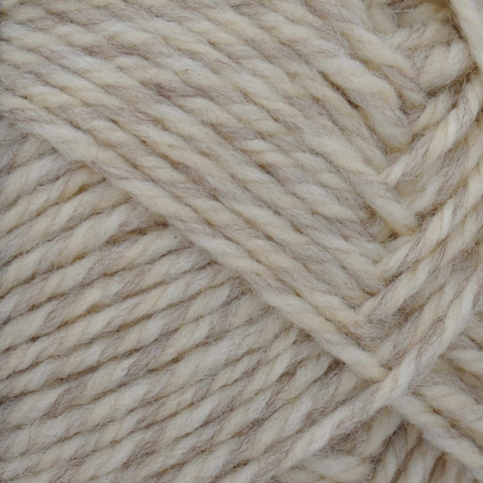 Brown Sheep Nature Spun Worsted wool yarn skein, Antique Ivory creamy heather — 245 yds at Revolution Fibers