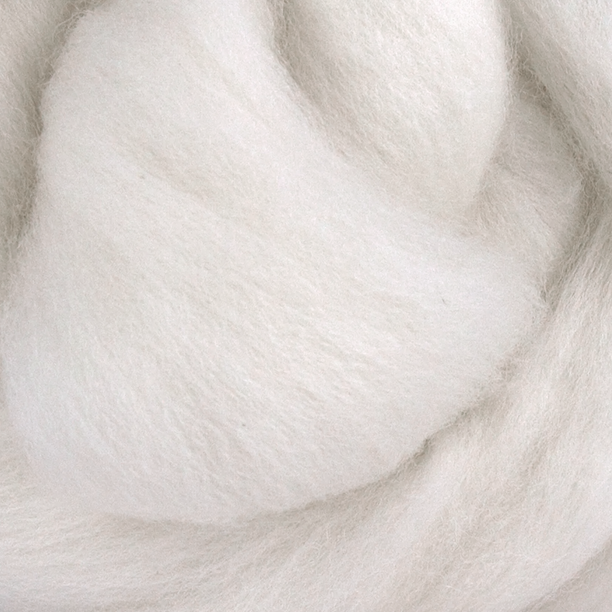 Close-up of White Polwarth Wool Top, showcasing its ultra-soft, silky fibers ideal for spinning, felting, and weaving. This premium, ethically sourced wool offers excellent strength, elasticity, and a bright natural white tone, making it perfect for dyeing and fiber arts.