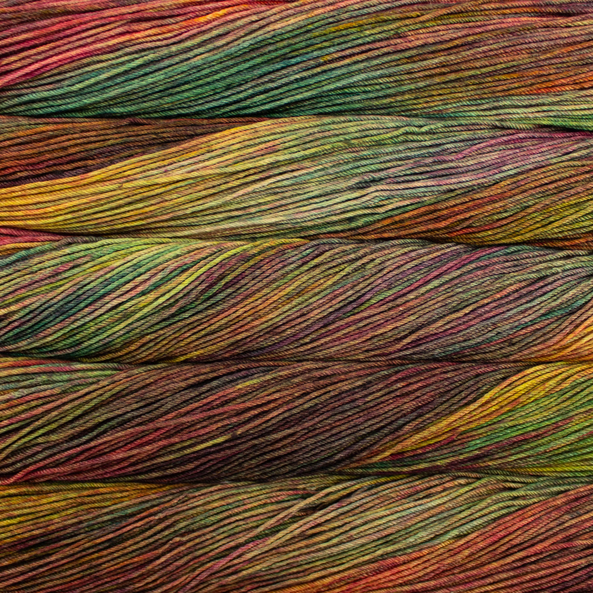 Malabrigo Rios hand-dyed merino superwash worsted weight yarn in the color Diana RIO886, a tonal blend of soft green, blush rose, lavender, golden honeysuckle, peach, and oat brown.