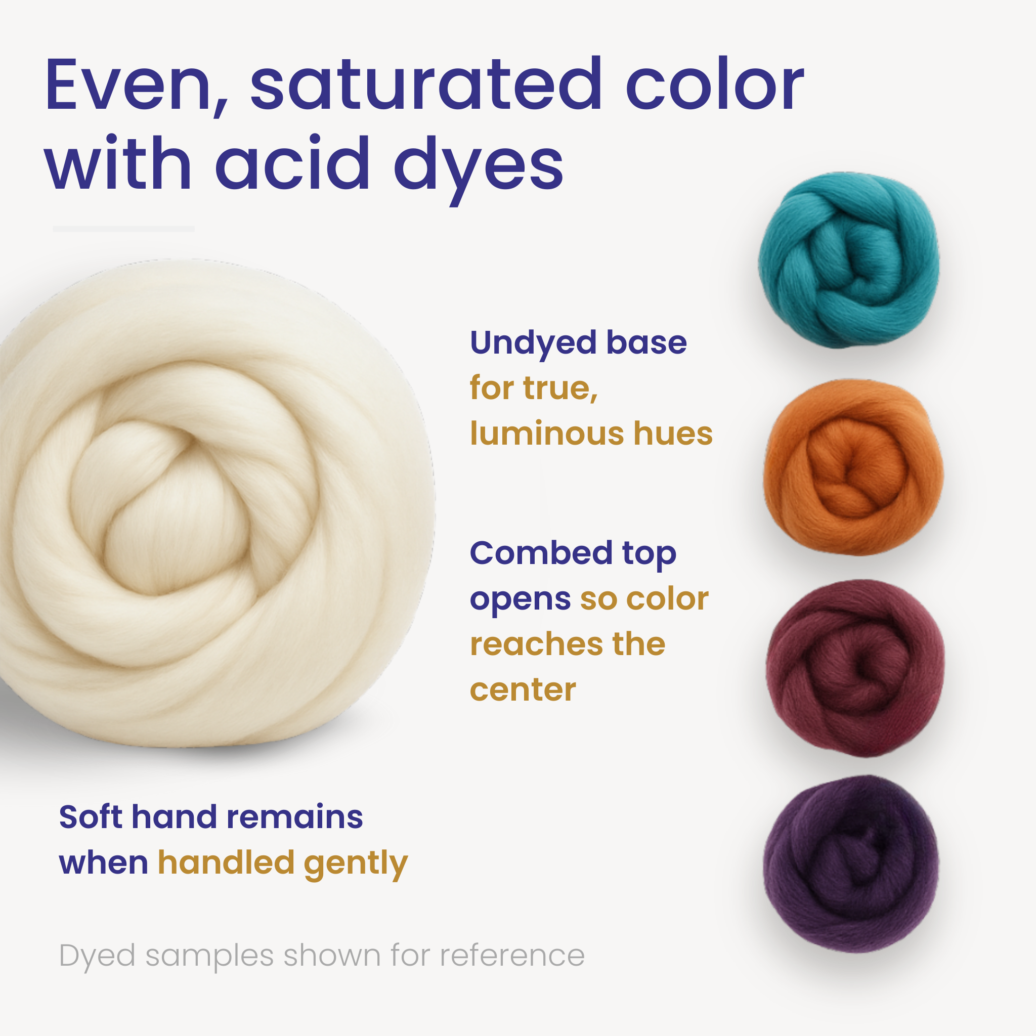 Dye-ready Merino combed top with undyed coil and dyed samples showing even, saturated color to the center while the soft hand is retained.