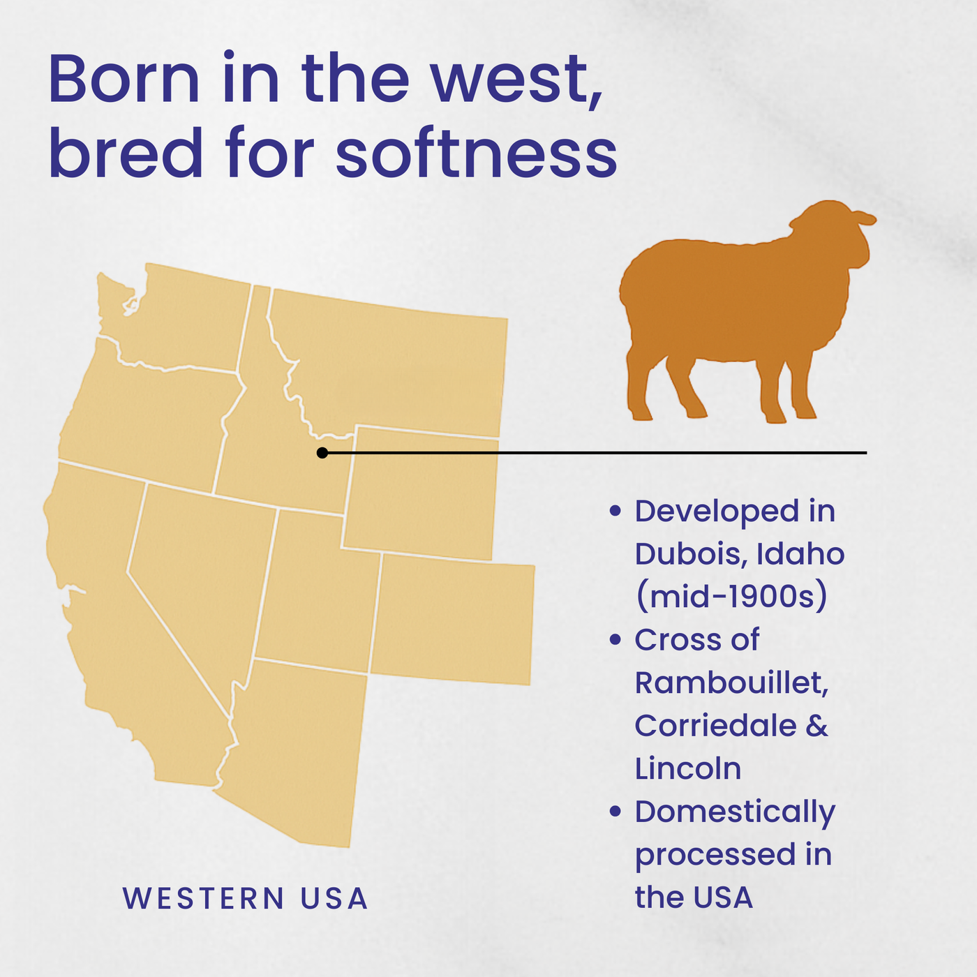 Revolution Fibers infographic showing Targhee wool bred in Dubois, Idaho, cross of Rambouillet, Corriedale, and Lincoln, domestically processed in the USA.