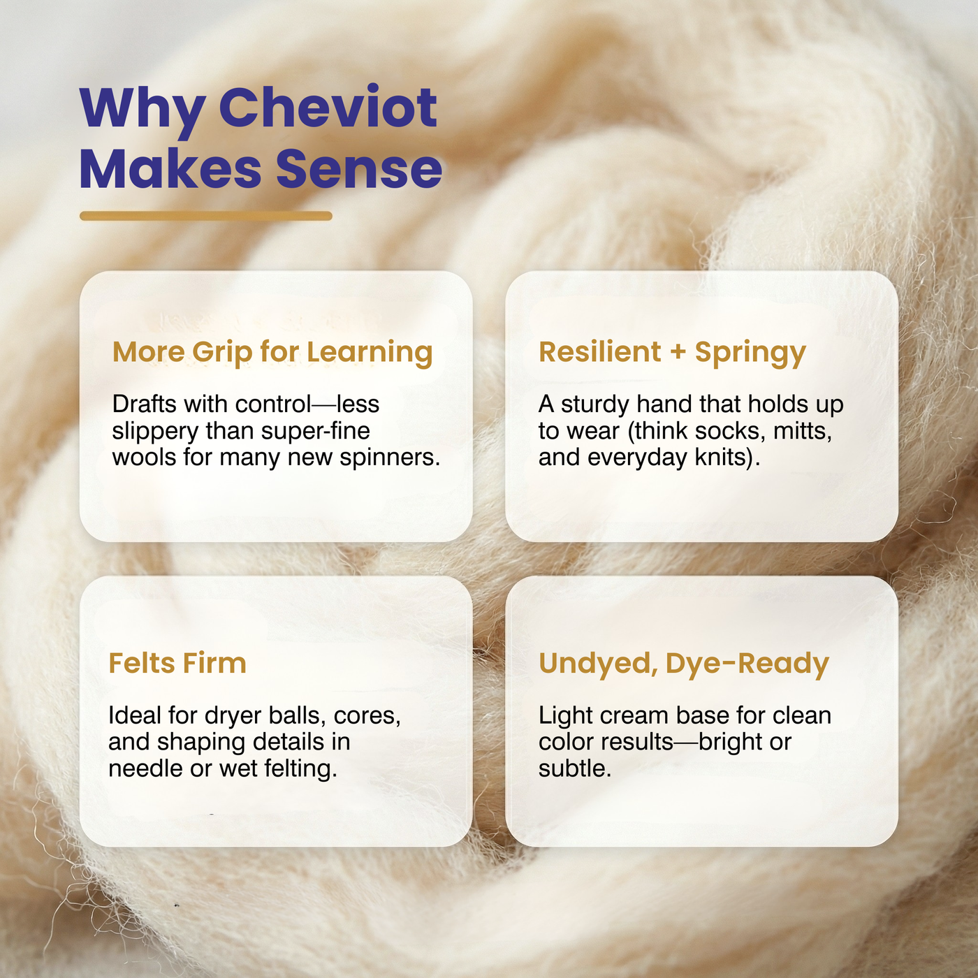 Infographic: Why Cheviot makes sense—beginner-friendly grip, resilient spring, firm felting, and dye-ready undyed base.