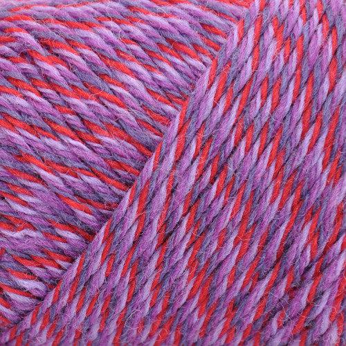 Wildfoote Luxury Sock Weight Superwash Yarn | 50 grams, 215 yards per skein-Yarn-Brown Sheep Yarn-Mixed Berries-Revolution Fibers