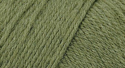 Wildfoote Luxury Sock Weight Superwash Yarn | 50 grams, 215 yards per skein-Yarn-Brown Sheep Yarn-Saguaro Cactus-Revolution Fibers