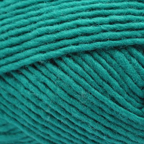 Lanaloft Bulky Weight Yarn | 160 Yards | 100% Wool-Yarn-Brown Sheep Yarn-Lucky Shamrock - BLL67R-Revolution Fibers