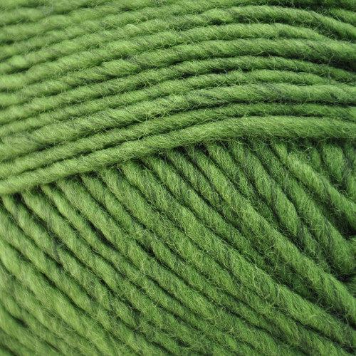 Lanaloft Worsted Weight Yarn | 160 Yards | 100% Wool-Yarn-Brown Sheep Yarn-Scottish Hillside - 1LL72P-Revolution Fibers