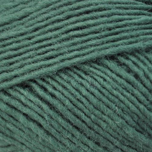Lanaloft Worsted Weight Yarn | 160 Yards | 100% Wool-Yarn-Brown Sheep Yarn-English Ivy - 1LL81P-Revolution Fibers