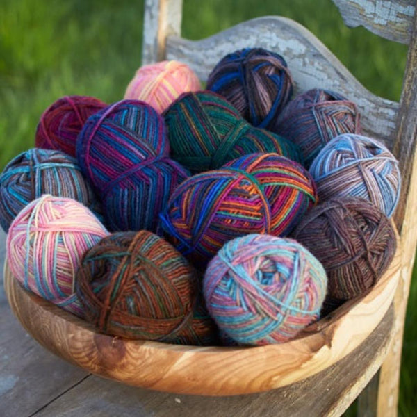 Lanaloft Handpainted Worsted Weight Yarn | 160 Yards | 100% Wool Plantation Fall - 1LL500P