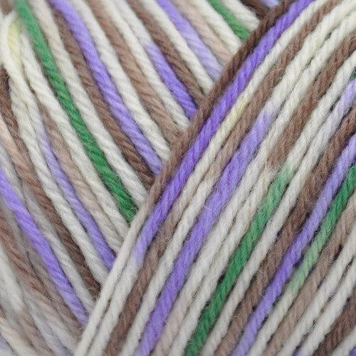 Wildfoote Luxury Sock Weight Superwash Yarn | 50 grams, 215 yards per skein-Yarn-Brown Sheep Yarn-Lilac Desert (Hanpainted)-Revolution Fibers