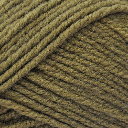 Shepherd's Shades Light Bulky (Aran) Weight Yarn | 131 Yards | 100% Wool-Yarn-Brown Sheep Yarn-Wild Asparagus - SS541-Revolution Fibers