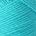 Lamb's Pride Bulky Weight Yarn | 125 Yards | 85% Wool 15% Mohair Blend-Yarn-Brown Sheep Yarn-Hawaiian Teal - M149-Revolution Fibers