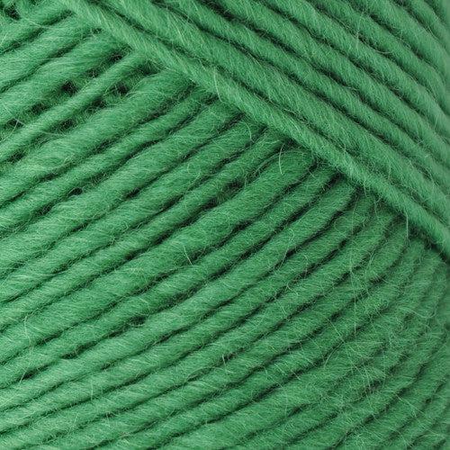 Lamb's Pride Bulky Weight Yarn | 125 Yards | 85% Wool 15% Mohair Blend-Yarn-Brown Sheep Yarn-Woodland Green - M169-Revolution Fibers