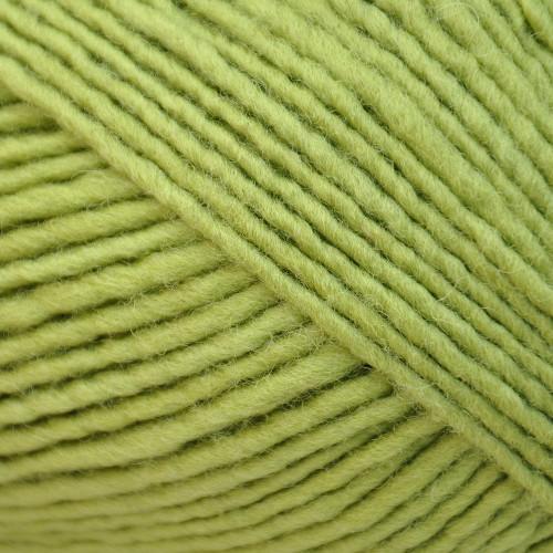Lanaloft Cones (1 lb) Worsted Weight Yarn | 720 Yards | 100% Wool-Yarn-Brown Sheep Yarn-Twist of Lime - 1LL46C-Revolution Fibers