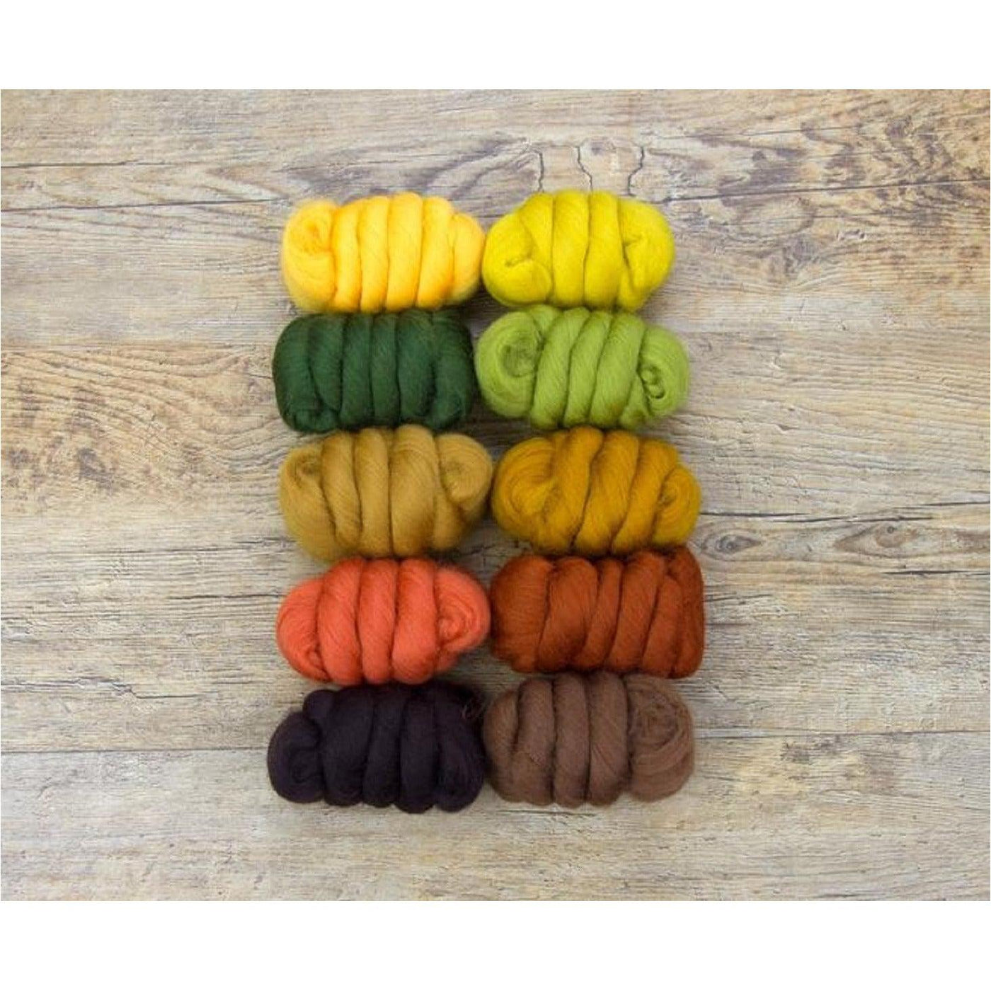 Mixed Merino Wool Variety Pack | Autumn Leaves (Multicolored) 250 Grams, 23 Micron-Wool Roving-Revolution Fibers-Revolution Fibers