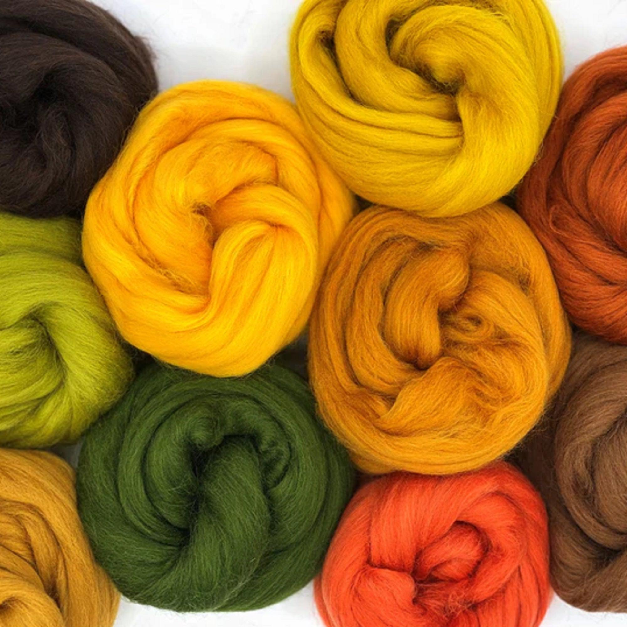 Mixed Merino Wool Variety Pack | Autumn Leaves (Multicolored) 250 Grams, 23 Micron-Wool Roving-Revolution Fibers-Revolution Fibers
