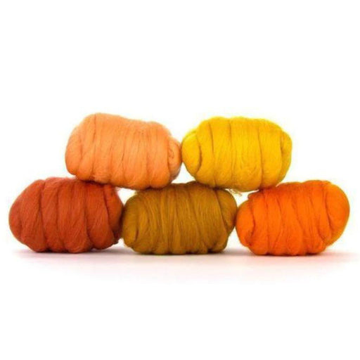 Mixed Merino Wool Variety Pack | Pumpkin Patch (Orange) 250 Grams, 23 Micron-Wool Roving-Revolution Fibers-Revolution Fibers