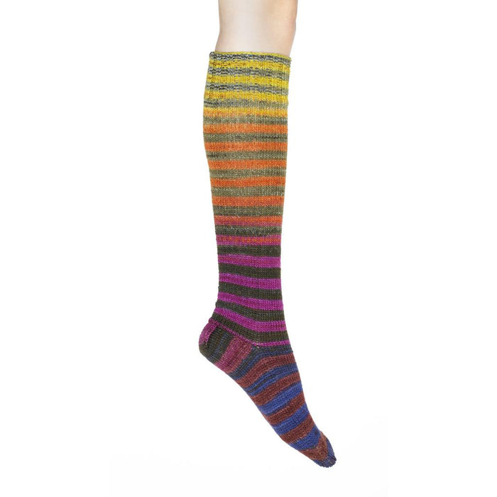 Uneek Sock Kits | 20 Unique Color Combinations | Self Striping Sock Kits-Knitting Kits-Urth Yarns-Uneek Sock 55-Revolution Fibers