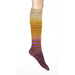 Uneek Sock Kits | 20 Unique Color Combinations | Self Striping Sock Kits-Knitting Kits-Urth Yarns-Uneek Sock 59-Revolution Fibers