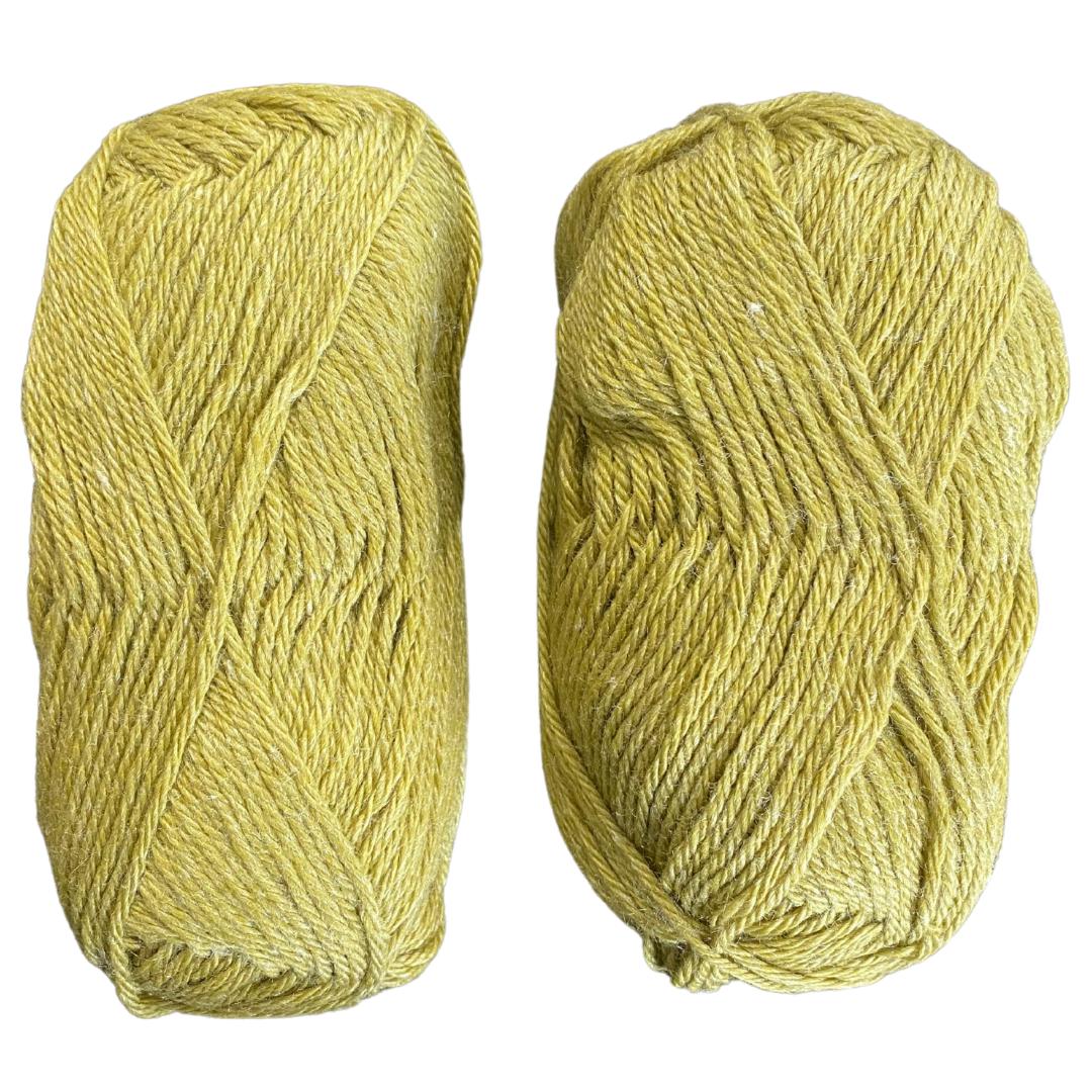 Premium DK Weight Yarn Skeins (Set of 2) | 80% Merino 20% Silk Yarn Blend-Yarn-Revolution Fibers-Watergrass Green-Revolution Fibers